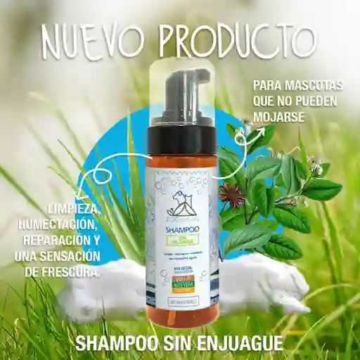 Shampoo Sin Enjuague Quillay Aloe Y Pantenol