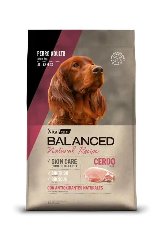 Balanced Natural Recipe Cerdo 15 Kilos