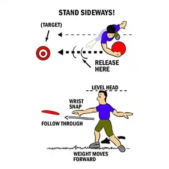 Disco Aero Flying 11,5" Diametro 29 Cms Bicolor 80 Grs