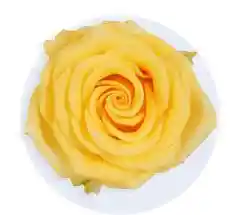 Rosas Clásicas: Rosas Rojas Y Amarillas