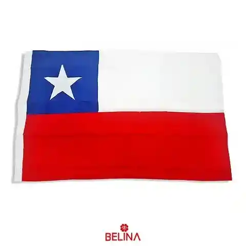 Bandera Decorativa 60 X 90 Cms