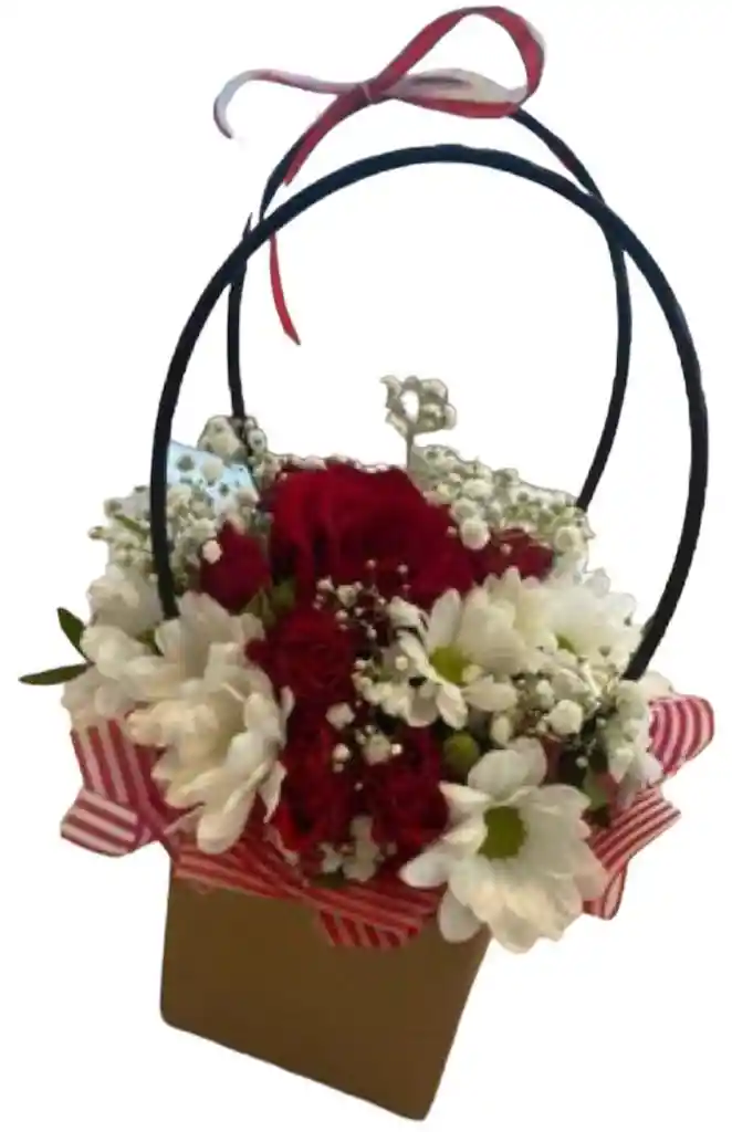 Cartera Rosas Rojas Y Margaritas