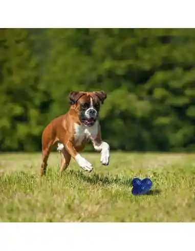 Nylabone Juguete Lanzador De Goma Crazy Ball