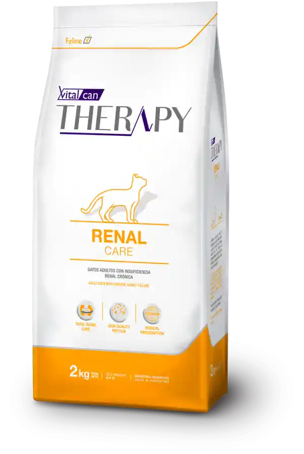 Therapy Renal Felino