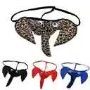 Colaless Elefante Animal Print