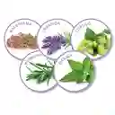 Difusor Calming No Stress + Recarga Gato ( Valeriana Y Lavanda).