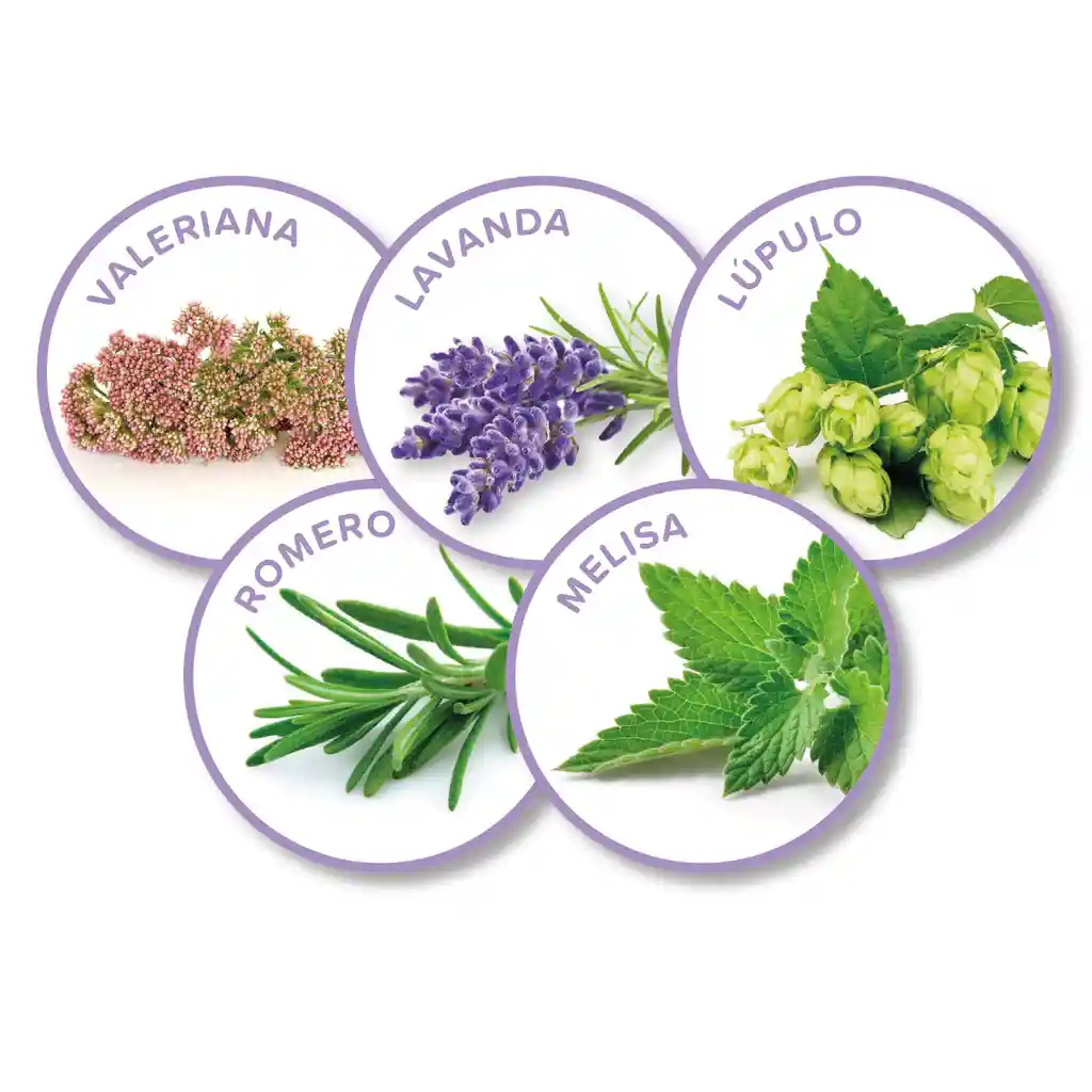 Difusor Calming No Stress + Recarga Gato ( Valeriana Y Lavanda).