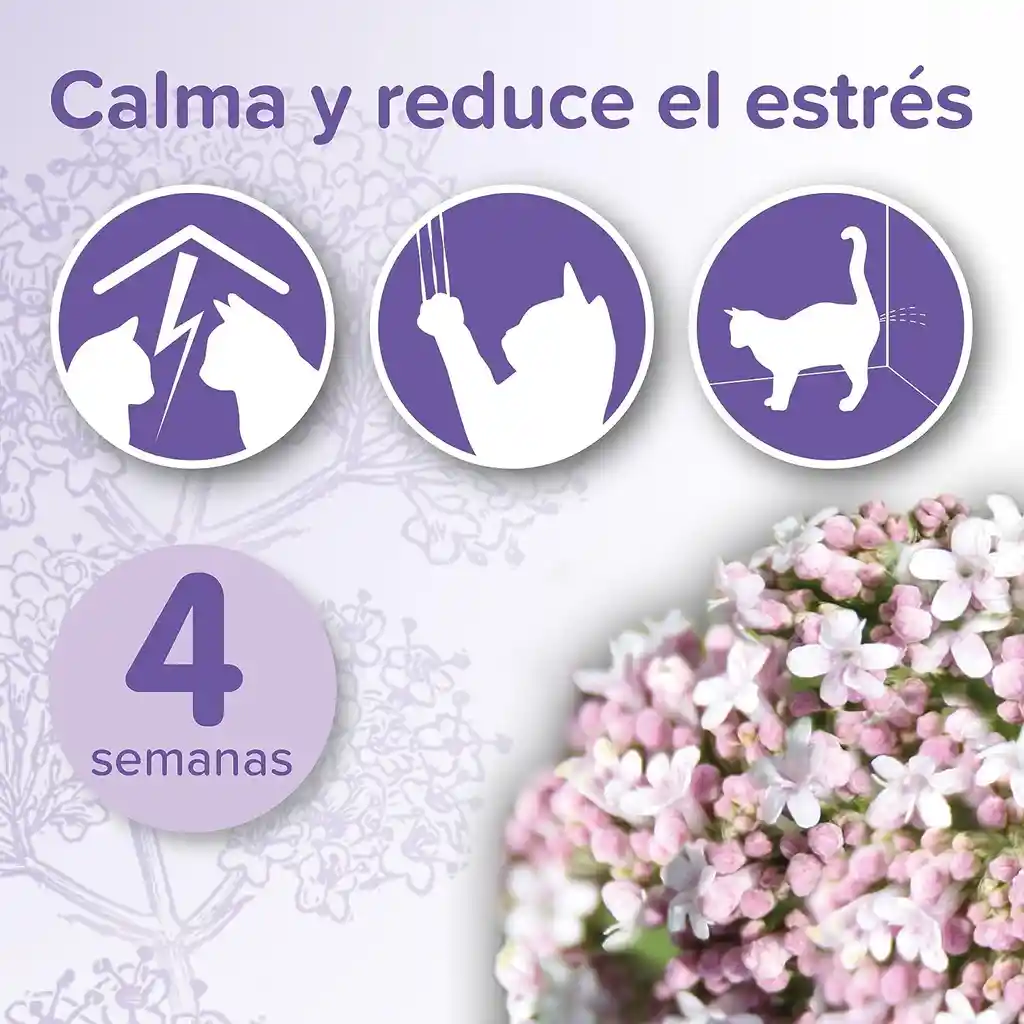 Difusor Calming No Stress + Recarga Gato ( Valeriana Y Lavanda).