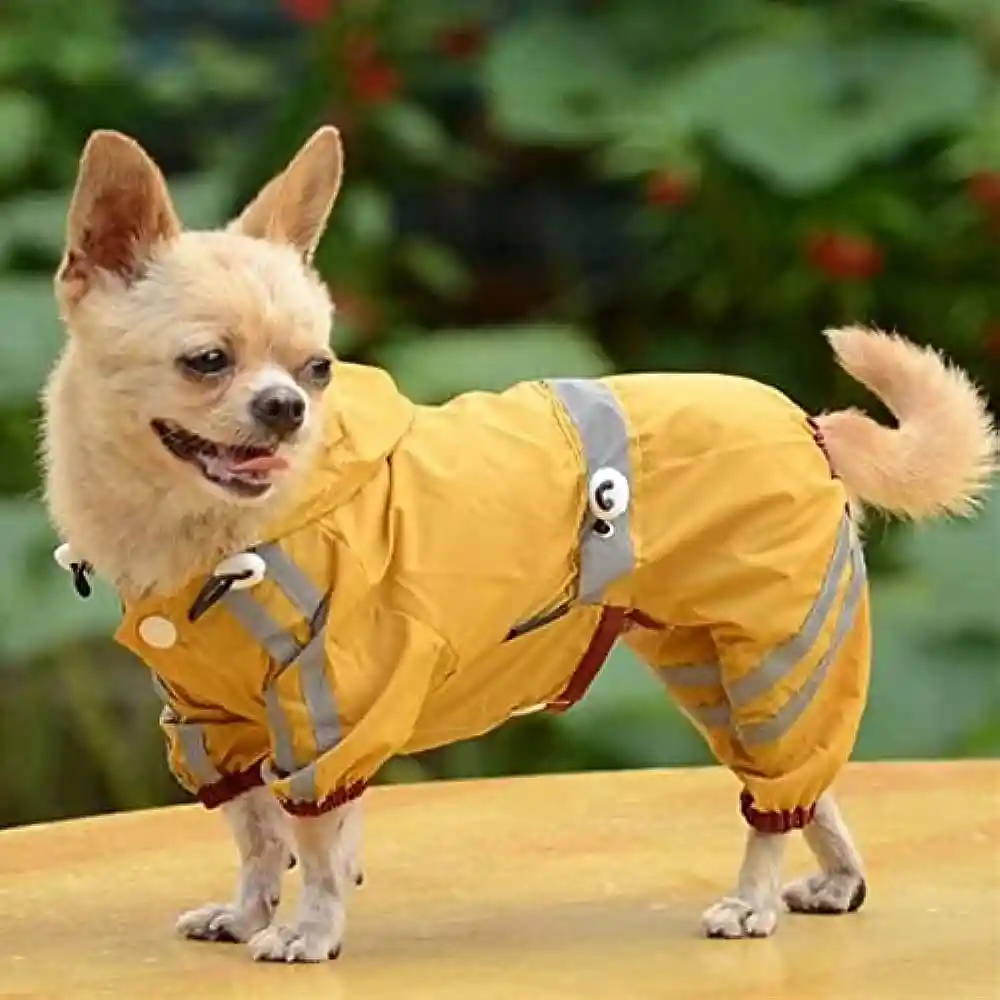 Impermeable Para Perros Xxs Amarillo