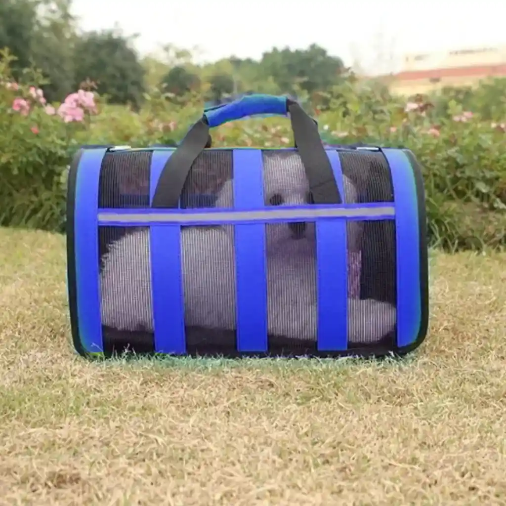 Bolso Transporte Mascotas Azul 34x24x23 Cm