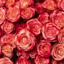 Ramo Premium Mini Rosas Durazno O Pink Cream (10 Varas = 30 Flores )