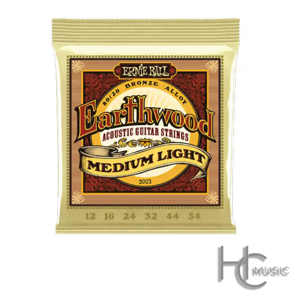 Set Cuerdas Guitarra Acustica Ernie Ball Earthwood 2003 12-54