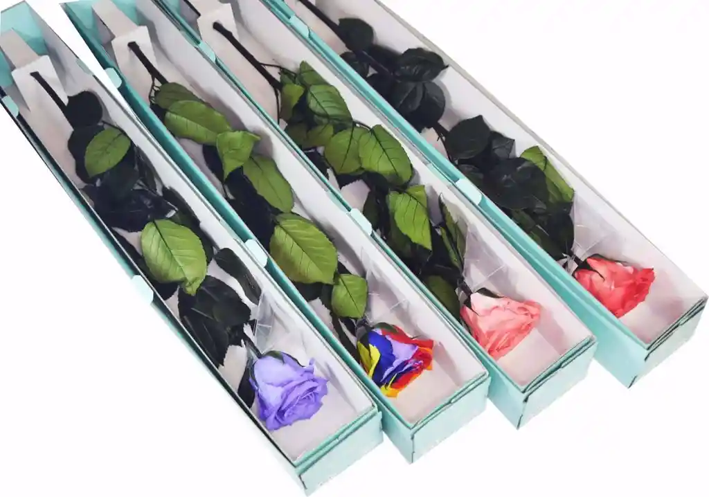 Hermosa Rosa Ecuatoriana Roja Presrvada 60 Cms