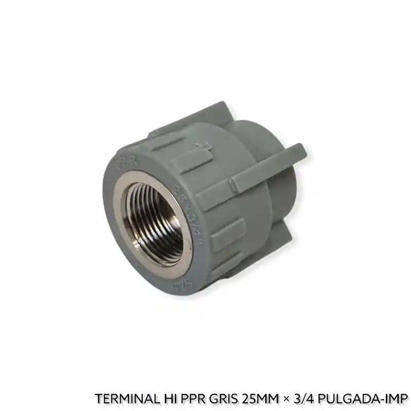 Terminal Ppr 25mmx3/4'' He Gris Importado