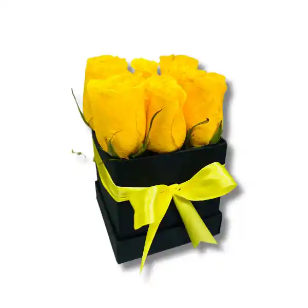 Caja De 6 Rosas Amarillas