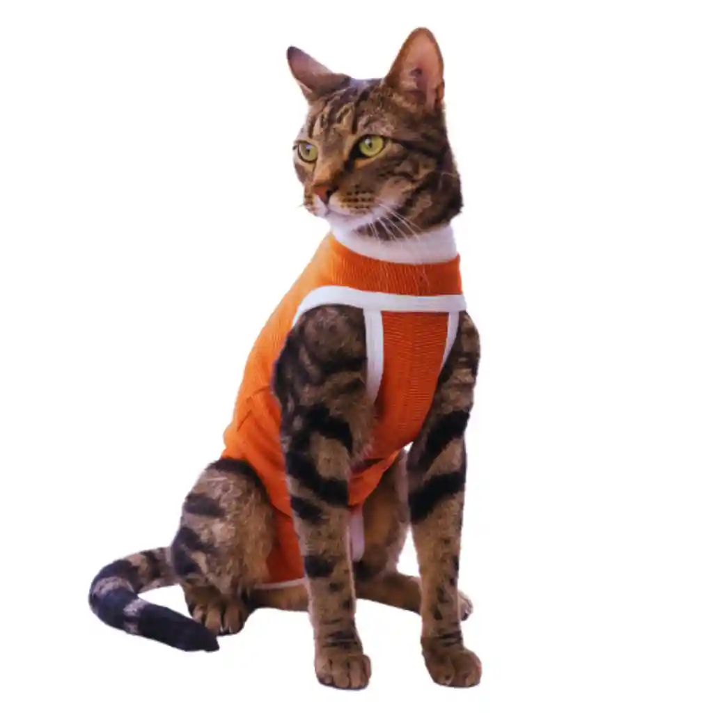 Body Cobre Tradicional Para Perros/gatos Machos Y Hembras (talla 3)