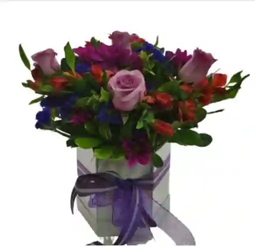 Caja Con Rosas Púrpuras: Un Regalo De Elegancia Y Encanto Floral