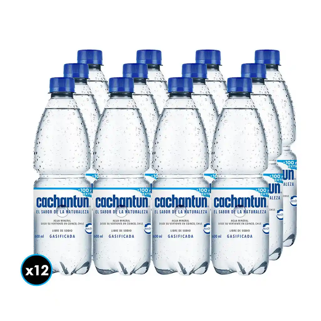 Pack Agua Mineral Cachantun 12 Unidades De 600 Ml