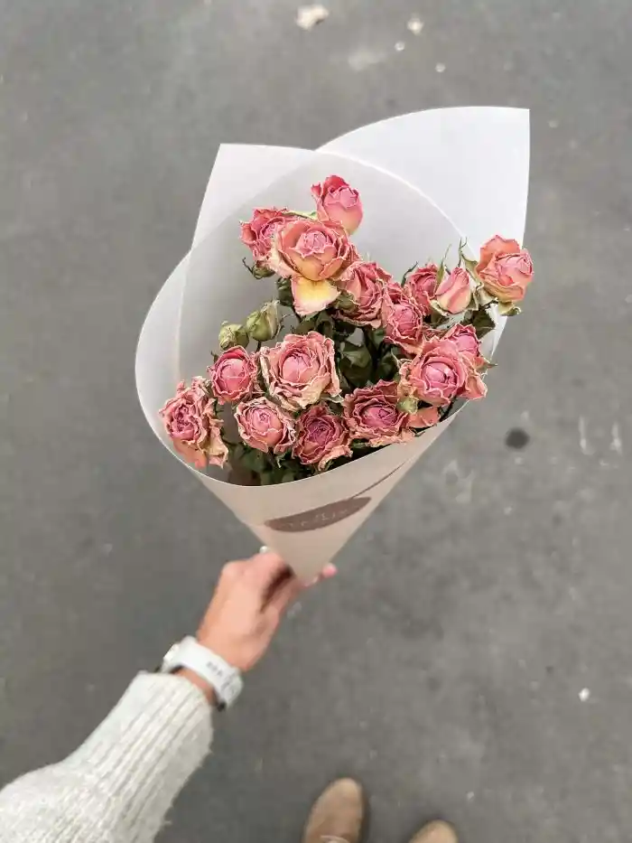 Mini Rosa Rosada Seco