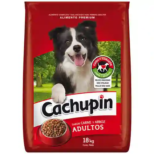 Cachupín Alimento Perro Adulto Carne Y Arroz 2 Kg