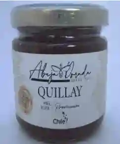 Miel Premium Quillay.