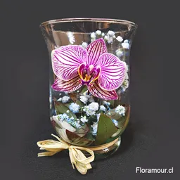 Mini Florero Con Orquidea Individual En Agua