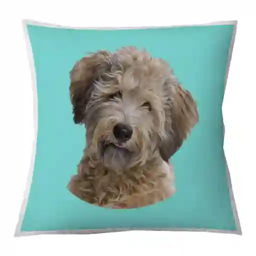 Tuyo · Cojín Color Poodle Toy