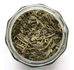 Sencha Std