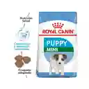 Royal Canin Para Perros Cachorros De Razas Pequeñas 1 Kg