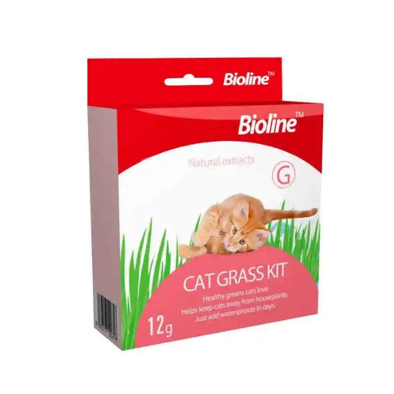 Bioline-cat Grass Kit- Natural Plant (kit De Semillas De Hierba Gatera) -12 G.