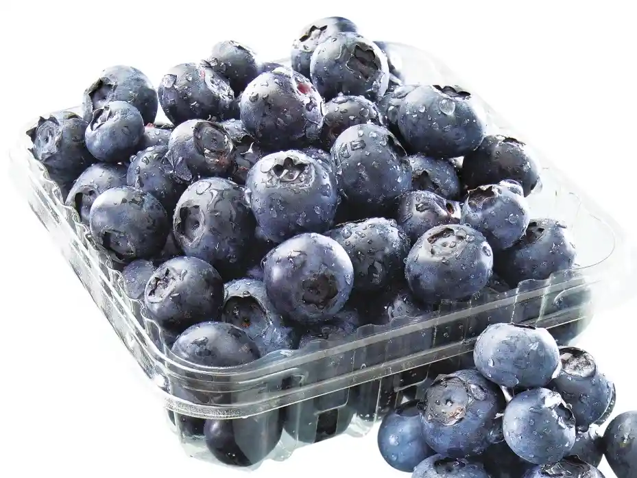 Arandanos (200 Gr)