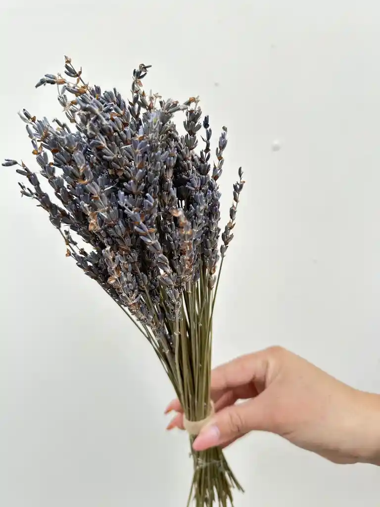 Ramo De Lavanda