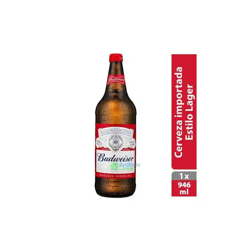 Budweiser 660cc Botella