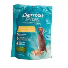Dental Plus Canela Jengibre