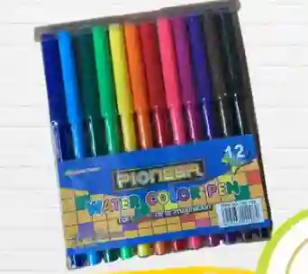 Marcadores Pioneer 12 Colores