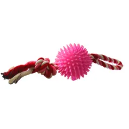 Juguete De Cuerda Con Pelota Plástica Para Perros