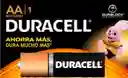 Pilas Alcalinas Duracell Aa X1