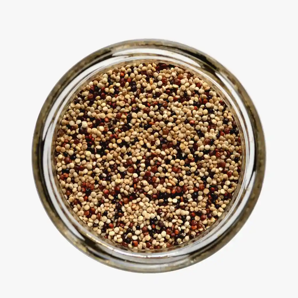 Quinoa Tricolor