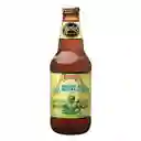 Founders Mas Agave Imperial Lime Gose Botella 355cc