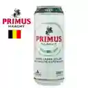 Primus Haacht Belgian Lager 500cc