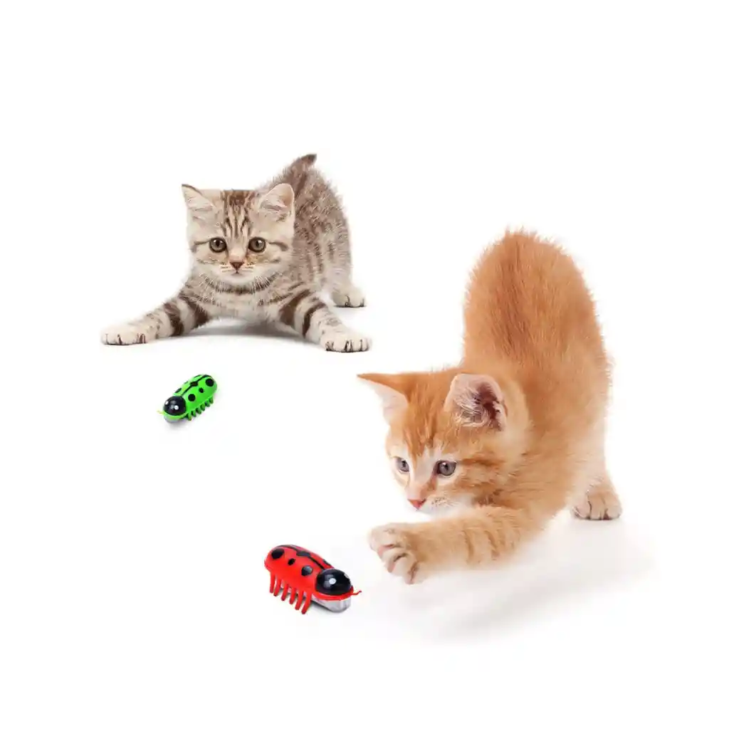 Juguete Interactivo Vibratorio Para Gatos - Modelo Mariquita