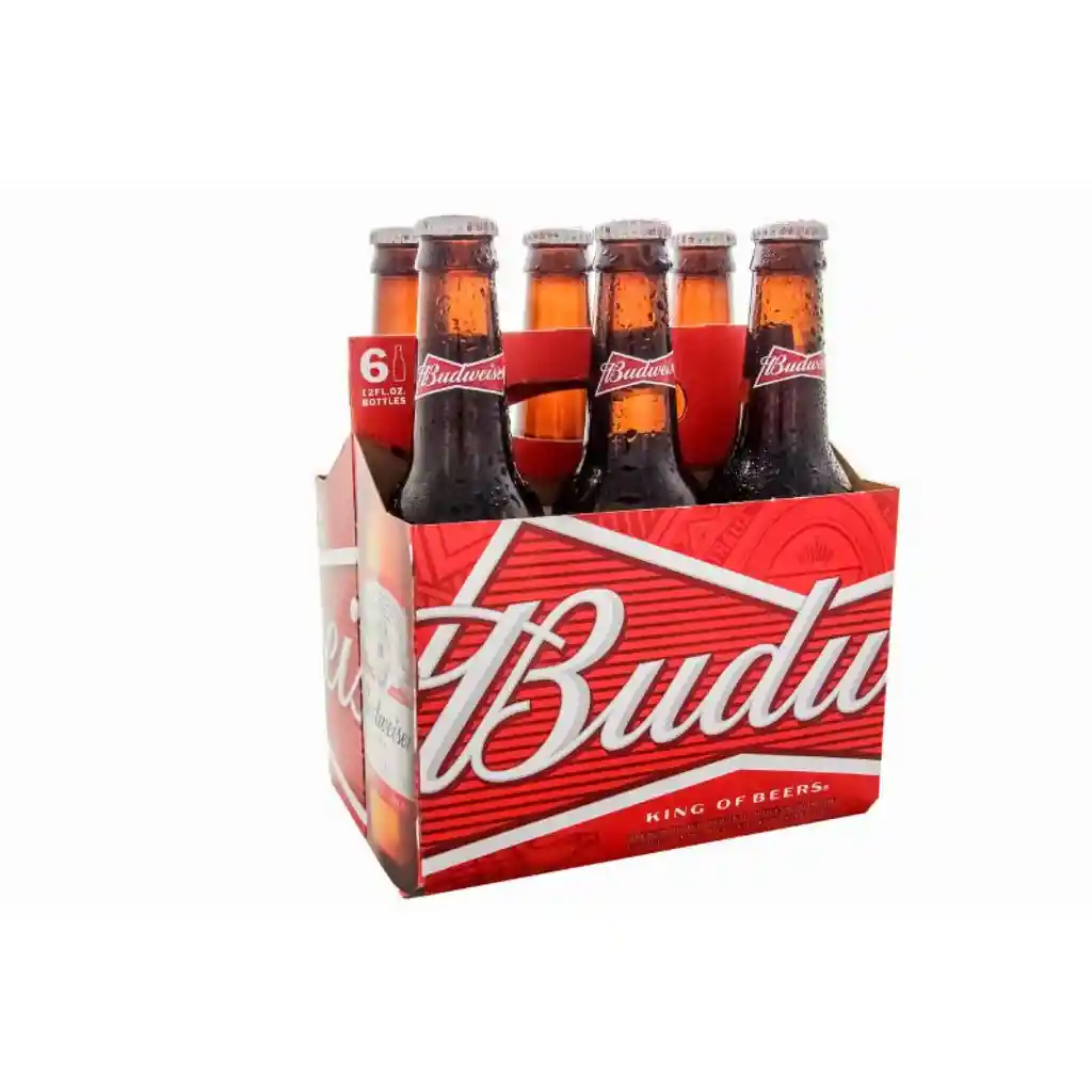 Six Pack Budweiser Botellin 330ccx6