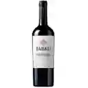 Tabali Pedregoso Cabernet Sauvignon 750cc