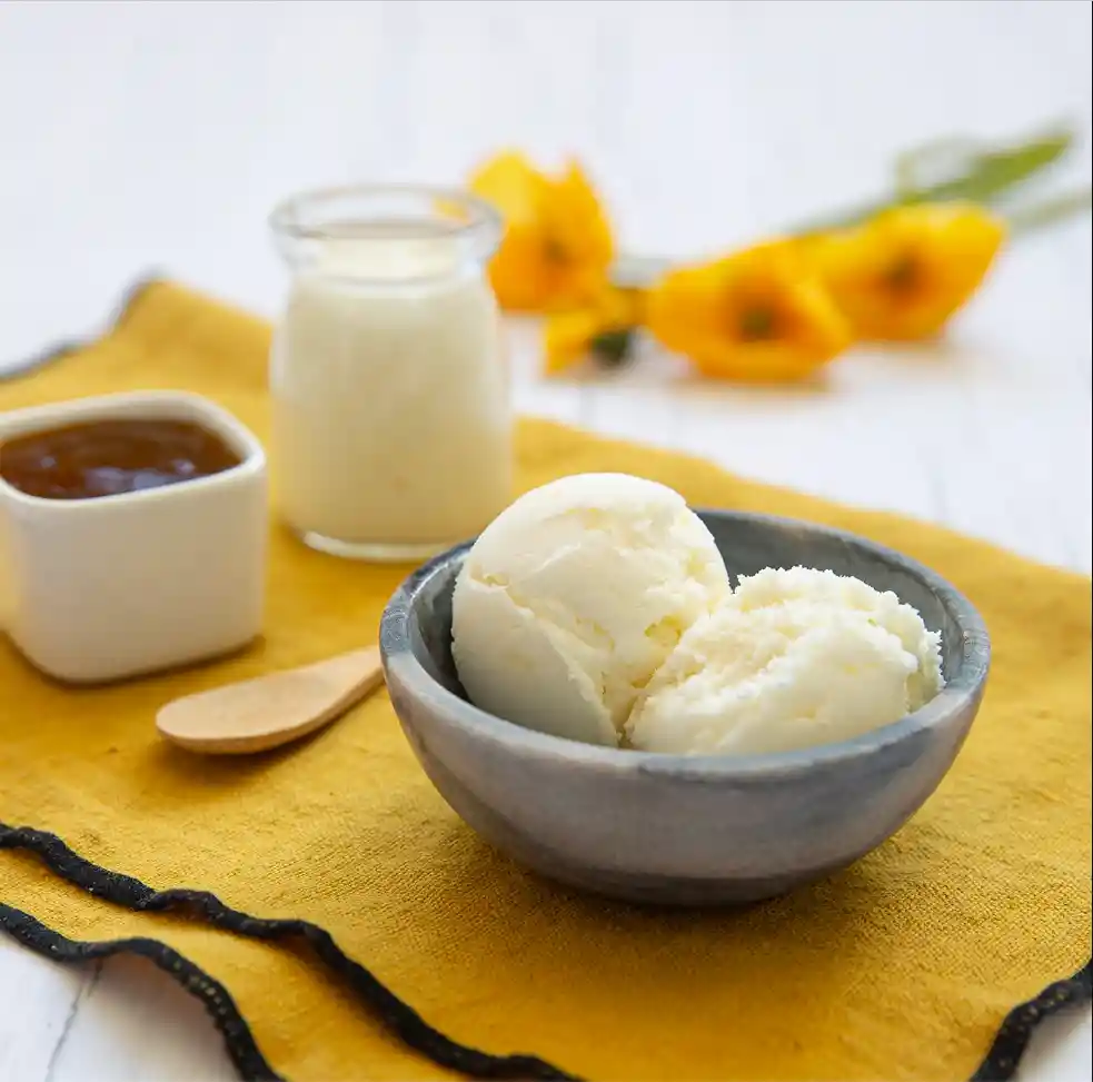 Helado A La Crema Yoghurt Con Salsa De Mango Sin Azúcar 500 Cc