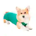 Petmed Body Quirúrgico Perro Verde Talla 2