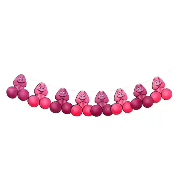 Guirnalda Despedida Soltera Bicolor