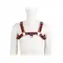 Harness Passion