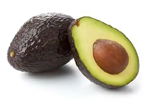 Palta Hass