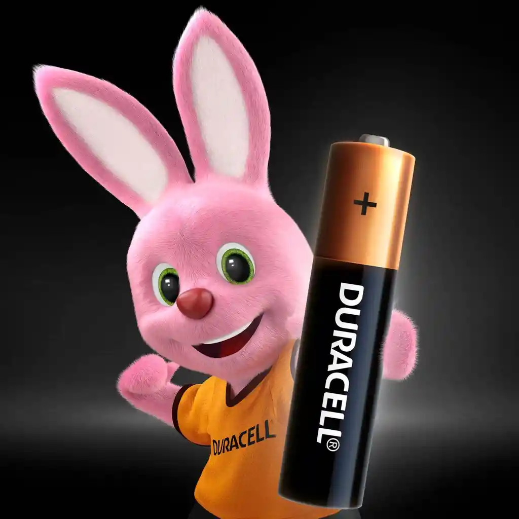 Pack 16 Pilas Duracell Aaa Alcalina Blister