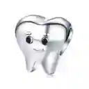 Charm Dije Plata 925 Muela Diente Dentista